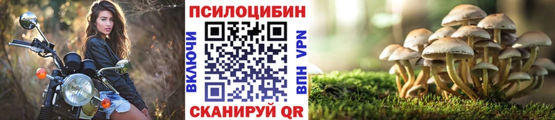 Галлюциногенные грибы Magic Shrooms  Купить закладки  Кострома 