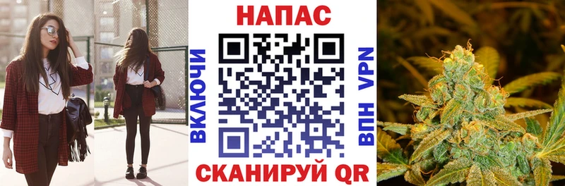 Купить закладки  Кострома  Марихуана семена 